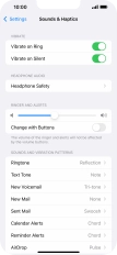 how to make iphone 13 pro max vibrate on silent How to Enter Vibration Settings on iPhone 13 Pro Max – Manage Vibration  Settings main image 0