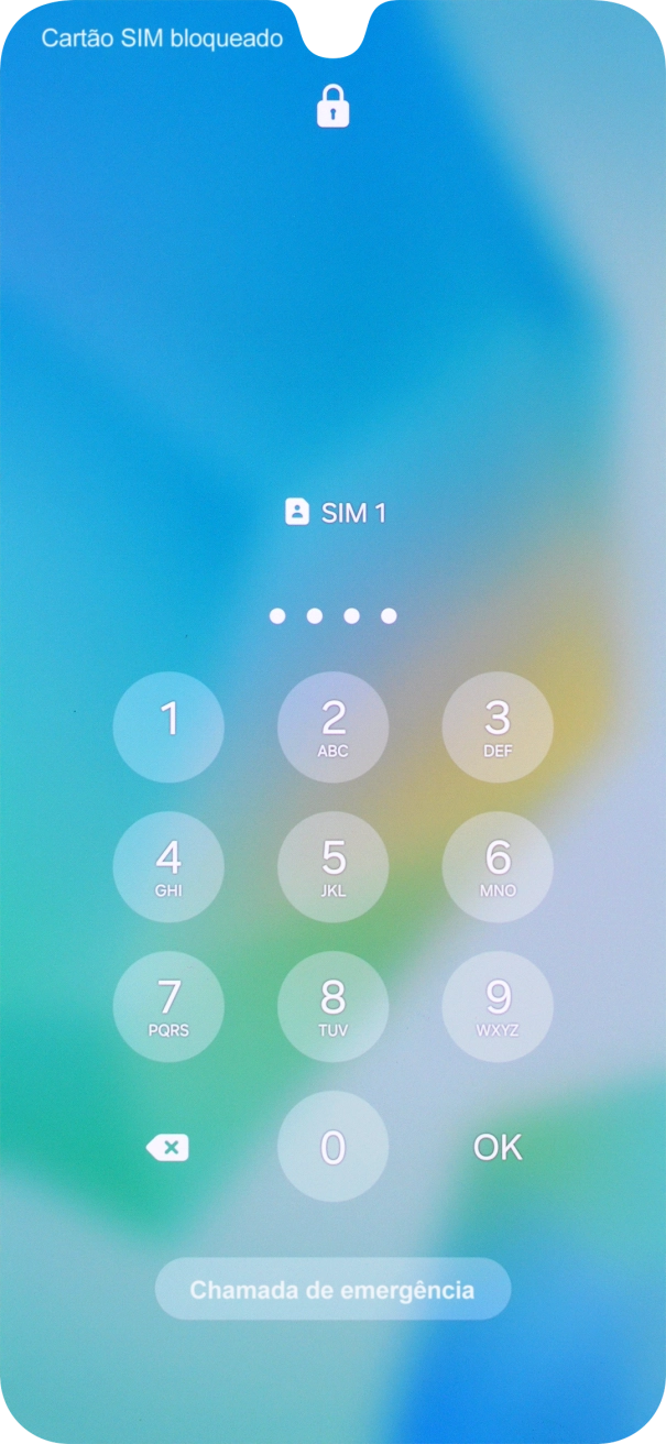 Se o cartão SIM estiver bloqueado, deve introduzir o código PIN e premir OK.