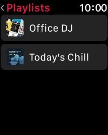 Press the required playlist to start playback.