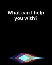 Say, in your own words, what you would like your Apple Watch to do.