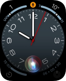 Say, in your own words, what you would like your Apple Watch to do.