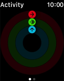 The screen will tell you how far you are from completing your daily activity goals. When the coloured rings are closed, you've reached the goals of your daily activity.