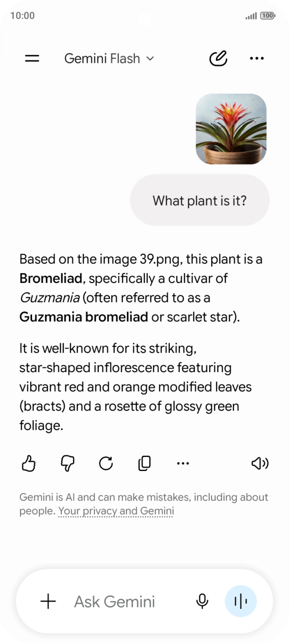 Follow the instructions on the screen to type or speak the required question. You can also attach pictures or documents and ask questions to them.