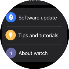 Press Software update.