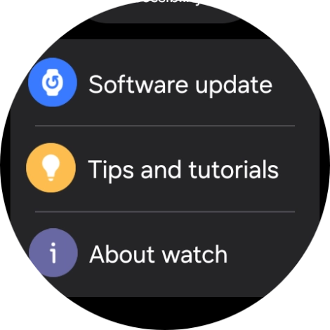 Press Software update.