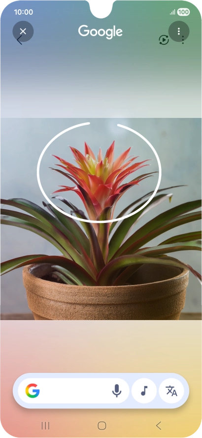 Draw a circle around the required object on the picture and wait for the search results.