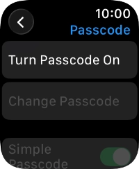 Press Turn Passcode On and key in a lock code of your own choice twice.