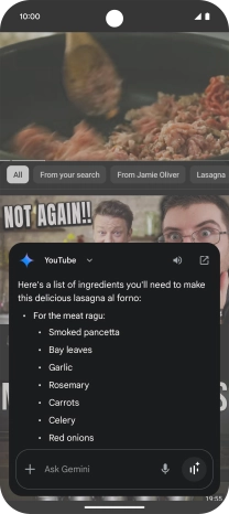 The answer from Gemini to your question is displayed.