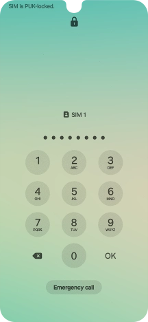 Key in the PUK and press OK.