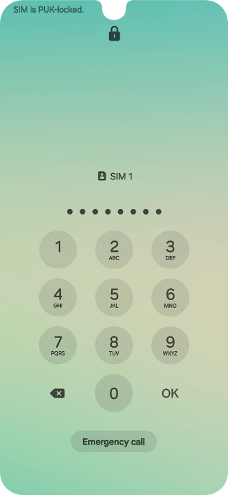 Key in the PUK and press OK.