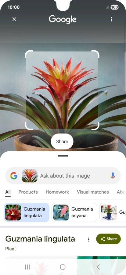 Follow the instructions on the screen to use the search results.