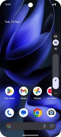 Press the sound icon to turn off the function.