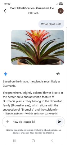 Follow the instructions on the screen to type or speak more questions to continue the conversation.