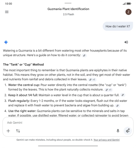 Follow the instructions on the screen to type or speak more questions to continue the conversation.
