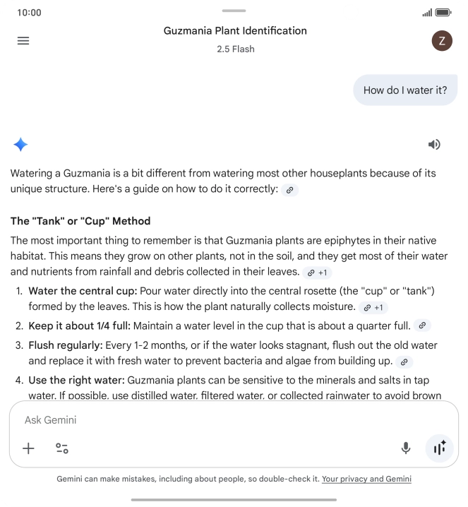 Follow the instructions on the screen to type or speak more questions to continue the conversation.