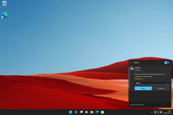 Key in your PIN and click Next.