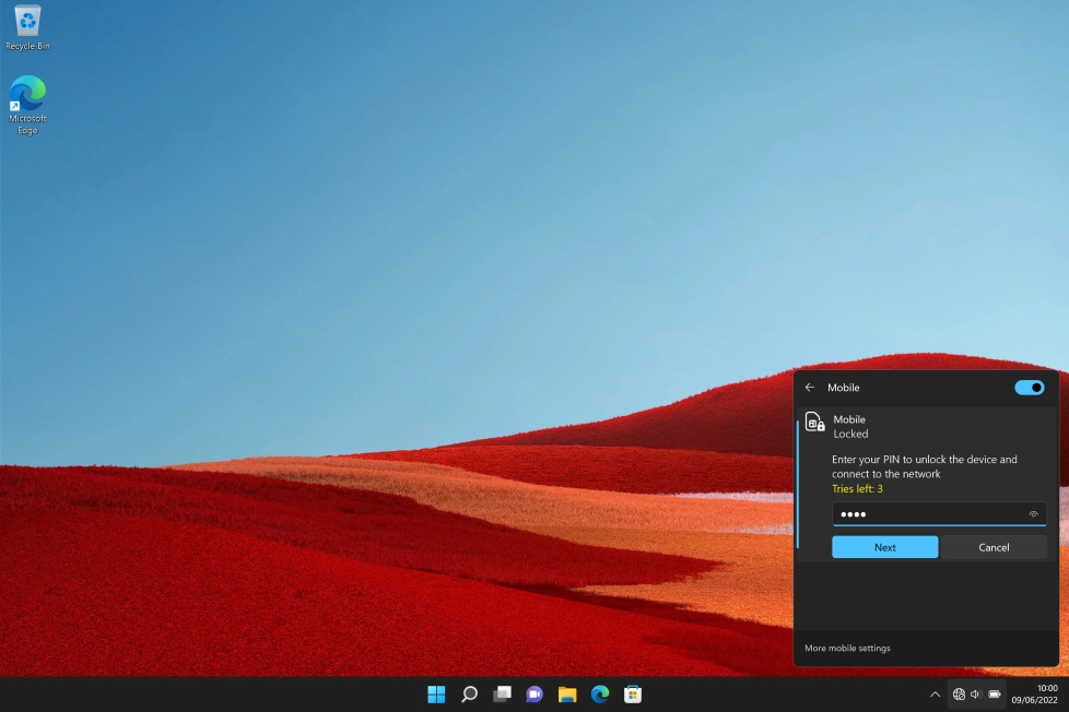Key in your PIN and click Next.