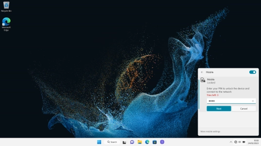 Key in your PIN and click Next.