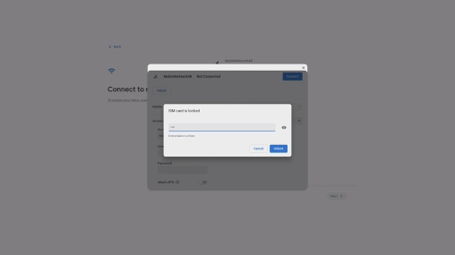 Key in your PIN and click Unlock.