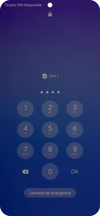 Si es necesario desbloquear la tarjeta SIM, introduce el código PIN y pulsa OK.