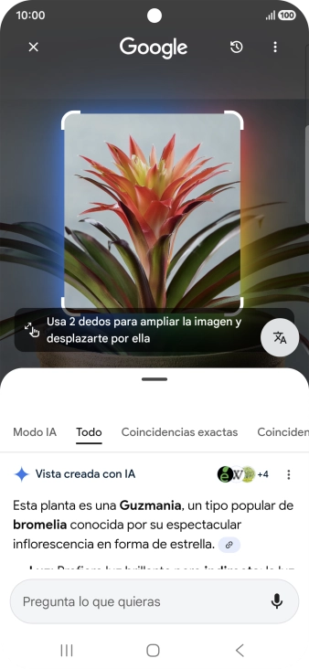 Sigue las indicaciones de la pantalla para utilizar los resultados de búsqueda.