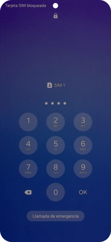Si lo solicita el teléfono, introduce el código PIN y pulsa OK.