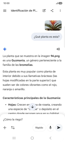 Sigue las indicaciones de la pantalla para escribir o decir en alto más preguntas y continuar la conversación.