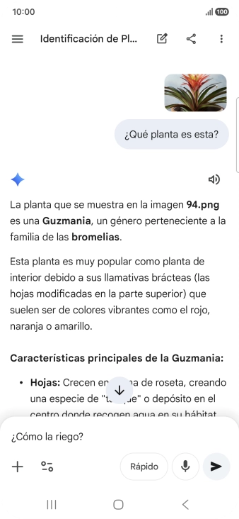 Sigue las indicaciones de la pantalla para escribir o decir en alto más preguntas y continuar la conversación.