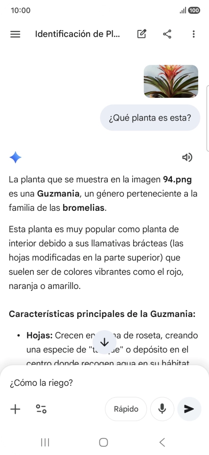 Sigue las indicaciones de la pantalla para escribir o decir en alto más preguntas y continuar la conversación.