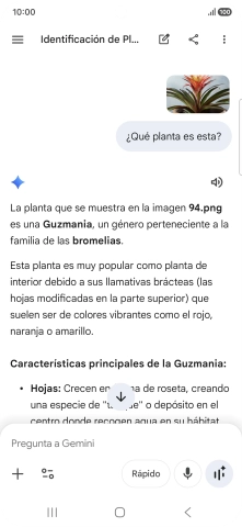 Sigue las indicaciones de la pantalla para escribir o decir en alto la pregunta deseada. Puedes adjuntar fotografías o documentos y hacer preguntas acerca de ellos.