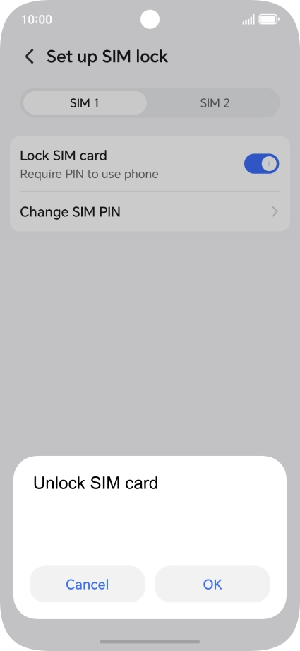 Key in your PIN and press OK.