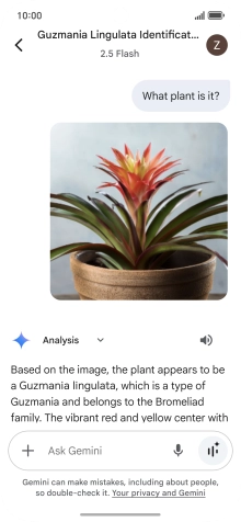 Follow the instructions on the screen to type or speak the required question. You can also attach pictures or documents and ask questions to them.