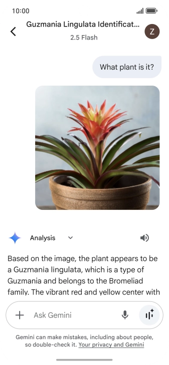 Follow the instructions on the screen to type or speak the required question. You can also attach pictures or documents and ask questions to them.