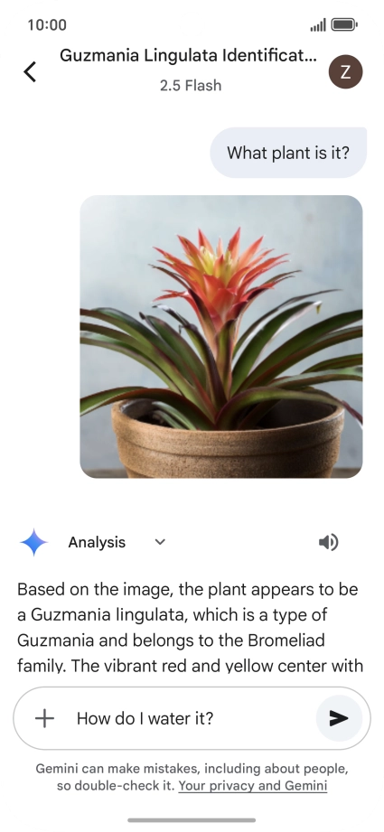 Follow the instructions on the screen to type or speak more questions to continue the conversation.