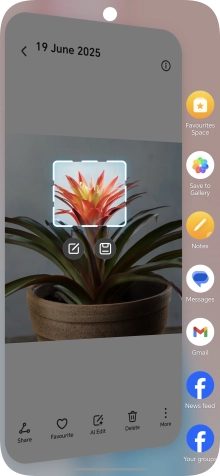 Press the required app and follow the instructions on the screen to use the function.