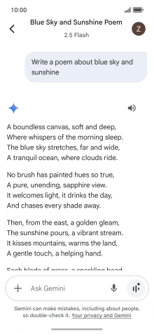 You can ask Gemini to generate a text based on your description.