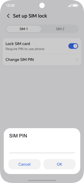 Key in your current PIN and press OK.