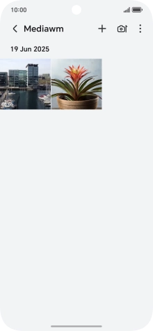 Press and hold any picture or video.