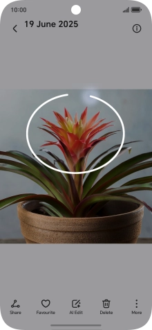 Draw a circle around the required object on the picture using your knuckle.