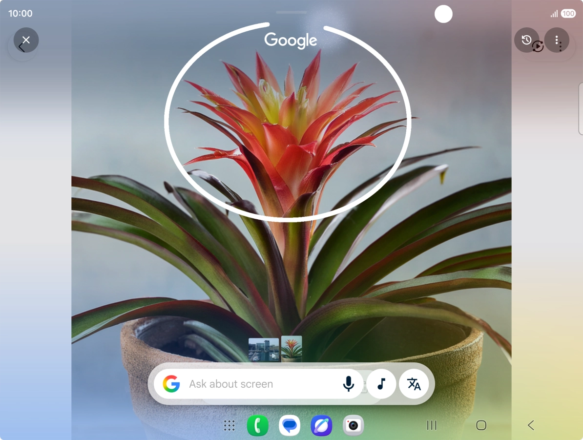 Draw a circle around the required object on the picture and wait for the search results.