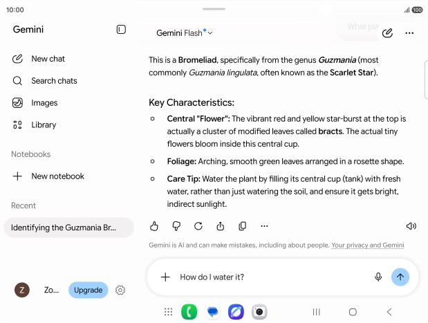 Follow the instructions on the screen to type or speak more questions to continue the conversation.