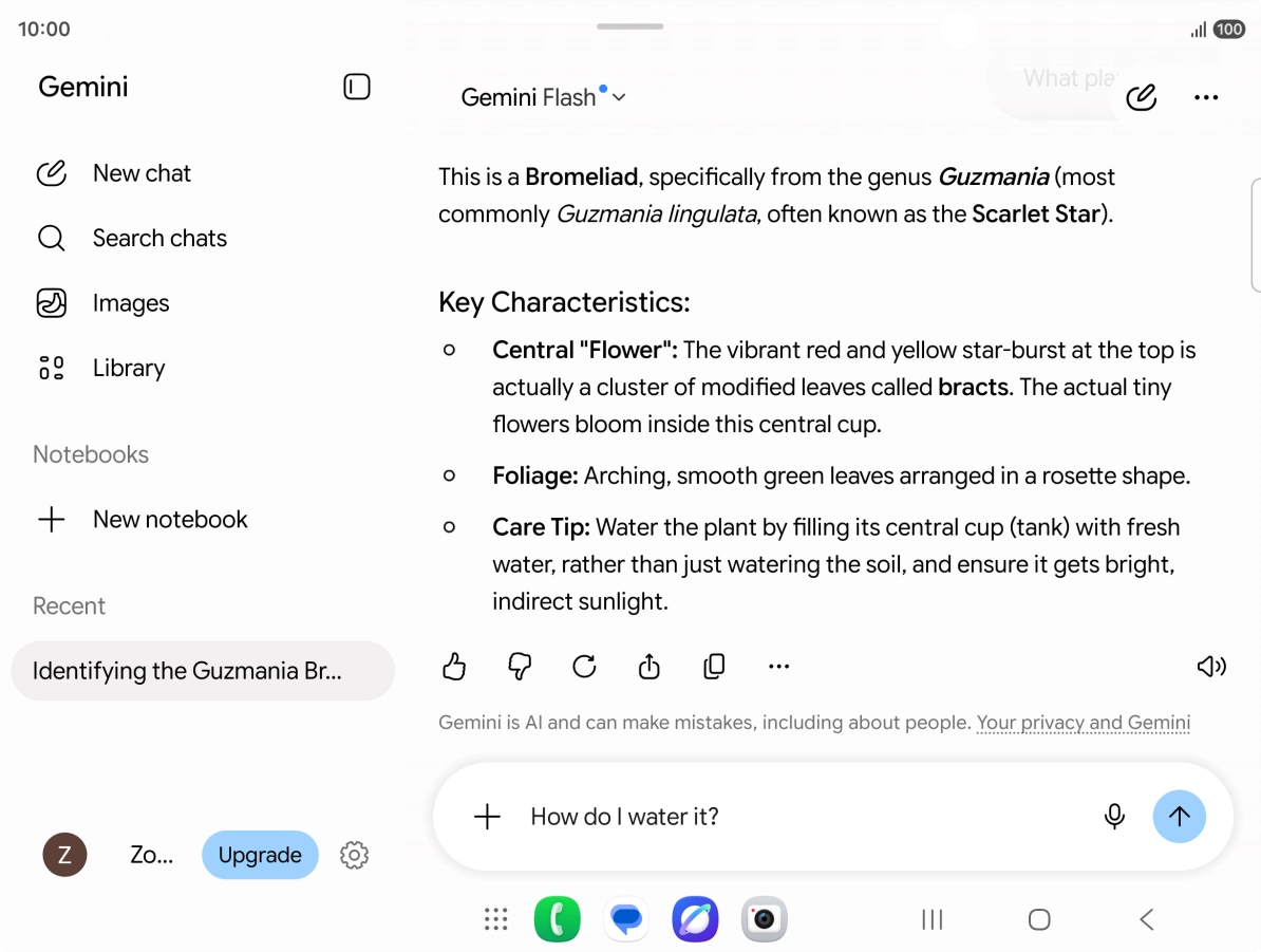 Follow the instructions on the screen to type or speak more questions to continue the conversation.