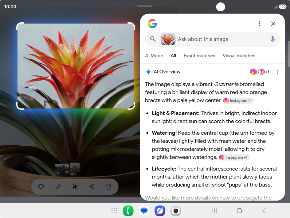 Follow the instructions on the screen to use the search results.