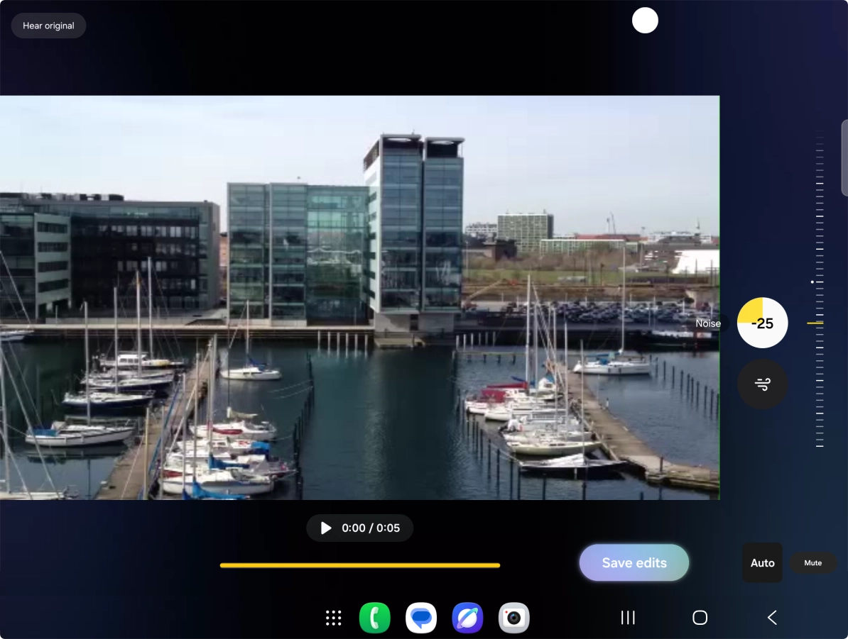 Press Mute to completely remove the selected audio type from the video.