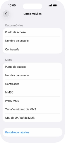 Pulsa Punto de acceso e introduce airtelwap.es.