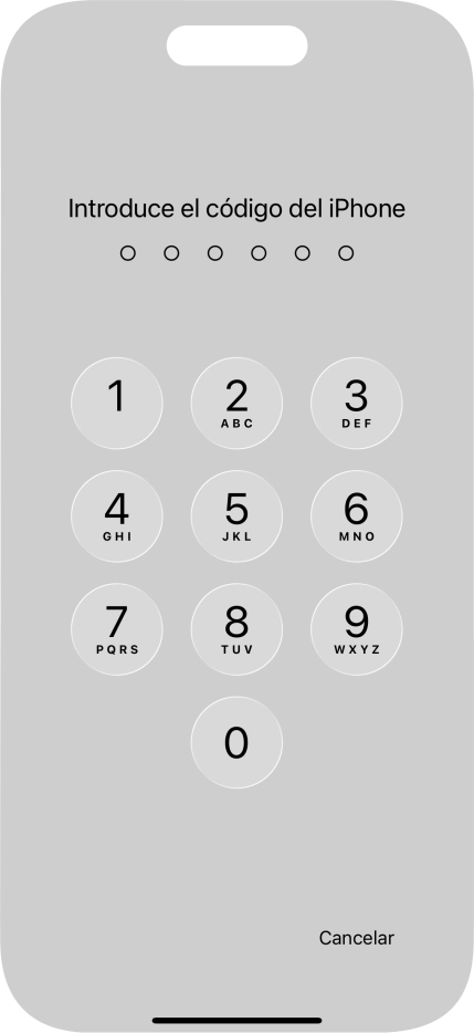Utiliza el código de seguridad que has creado.