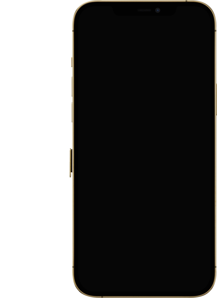 Remove the SIM holder from your phone.