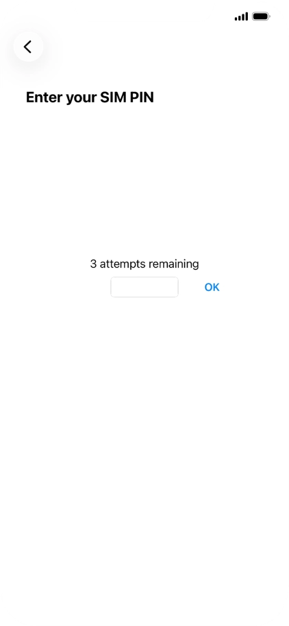 If your SIM is locked, key in your PIN and press OK.