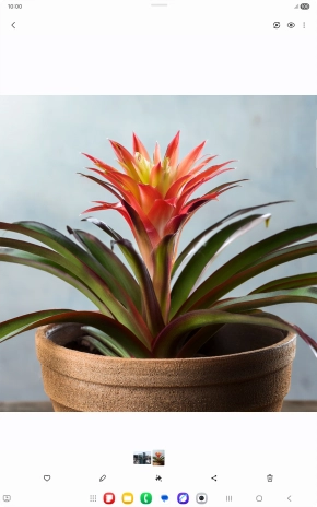 Go to the required picture.