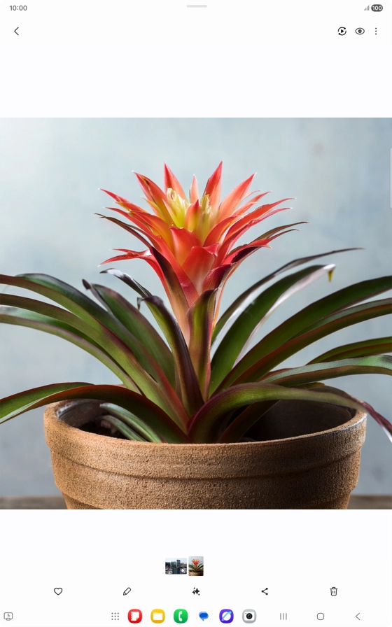 Go to the required picture.